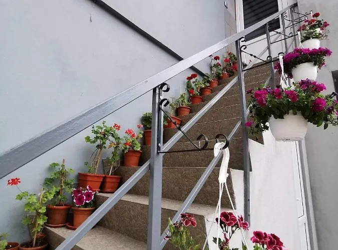 Casa Camy 艾福雷诺德