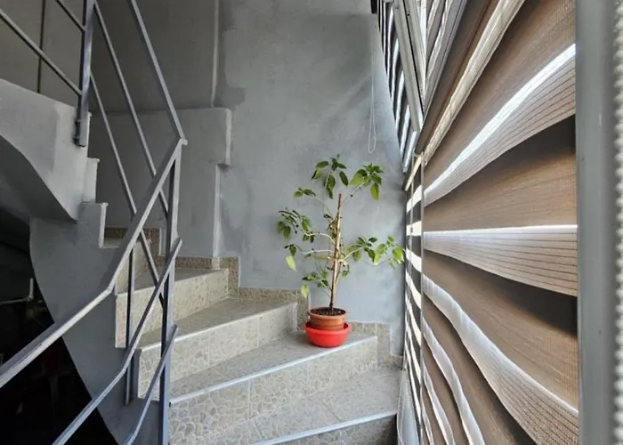 Casa Camy * 艾福雷诺德